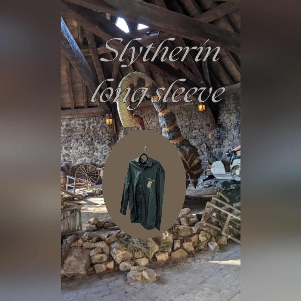 Harry Potter Slytherin long sleeve - Picture 2 of 7
